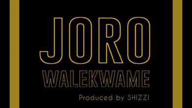Wale Kwame – Joro (Prod. by Shizzi)
