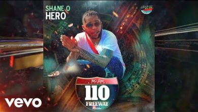 Shane O – Hero (110 Freeway Riddim) (Prod. By Big Zim Records)