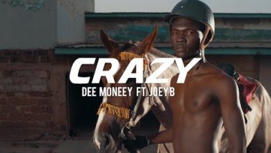 Dee Moneey ft Joey B - Crazy [Official Video]