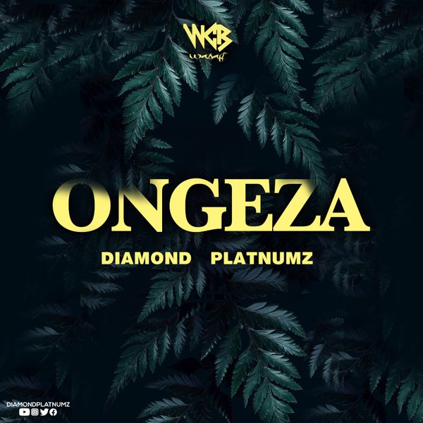 Diamond Platnumz - Ongeza (Prod. by Lizer Classic)