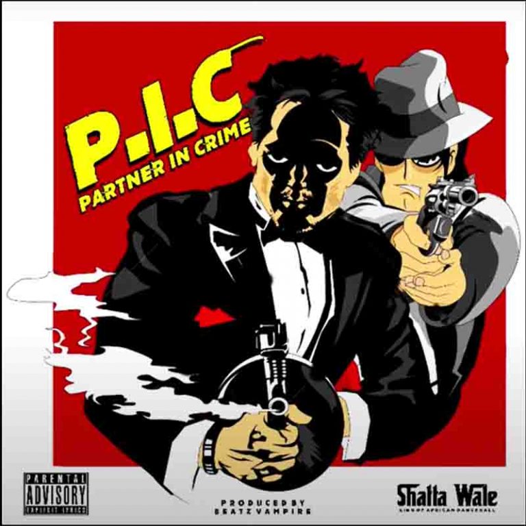 Shatta Wale – Partner In Crime (P.I.C) Instrumental