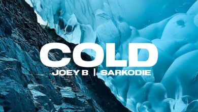 Joey B - Cold ft Sarkodie (Prod. by DJ Krept)