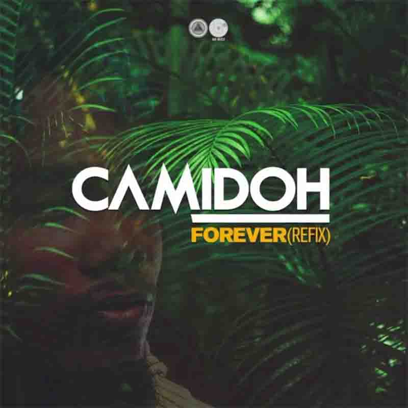 Camidoh - Gyakie Forever Refix