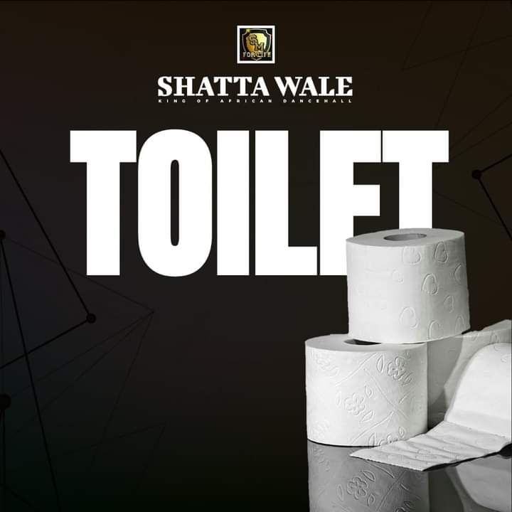 Shatta Wale - Toilet