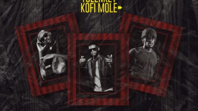 Lyrical Joe - Mad Up ft Tulenkey x Kofi Mole