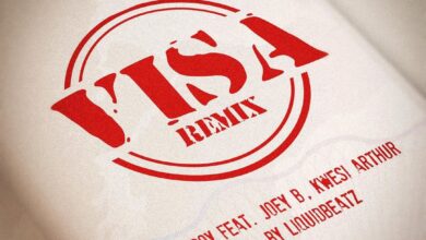 Kelvyn Boy - Visa Remix ft Joey B x Kwesi Arthur