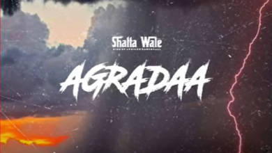 Shatta Wale - Agradaa