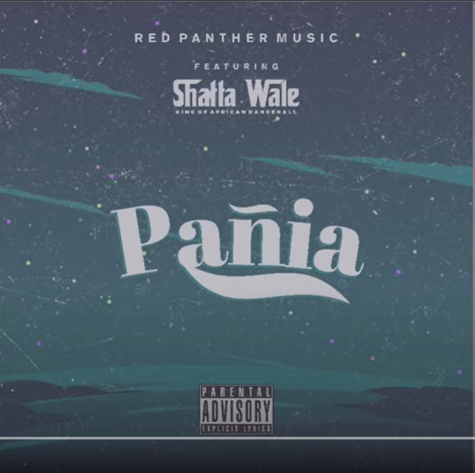 Shatta Wale - Pania