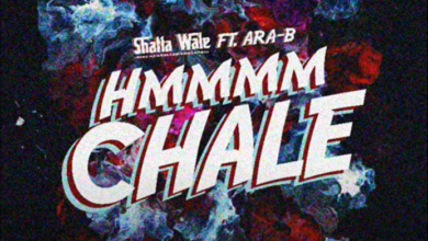 Shatta Wale - Hmmm Chale Ft Ara-B