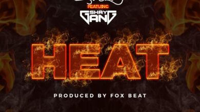 Wendy Shay - Heat Ft Shay Gang