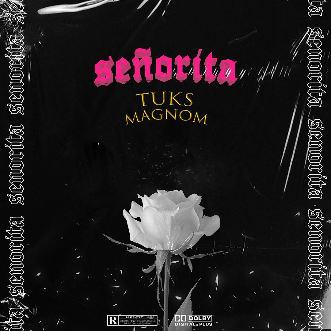 Magnom x Tuks - Señorita MP3 Download