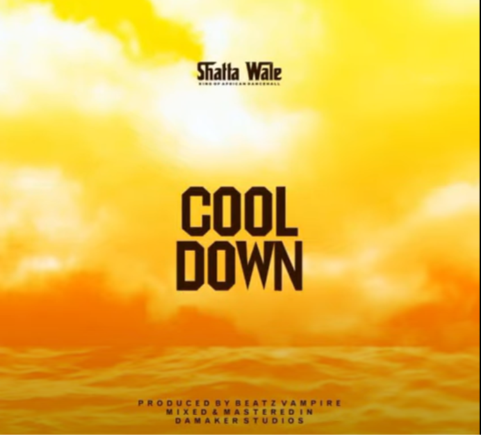 Shatta Wale - Cool Down (GOG Chaff)