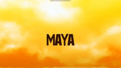 Shatta Wale - Maya (GOG Chaff)