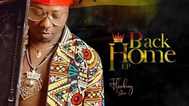 Flowking Stone - Back Home EP