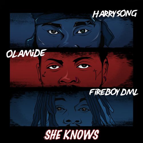 Harrysong - She Knows Ft Fireboy DML x Olamide