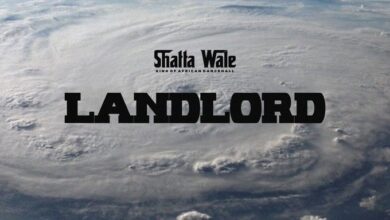 Shatta Wale - Land Lord