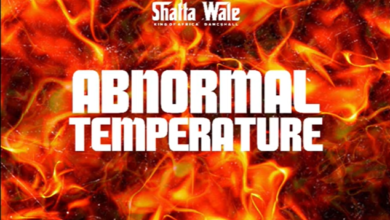 Shatta Wale - Abnormal Temperature