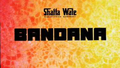 Shatta Wale - Bandana