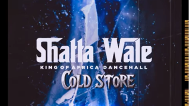 Shatta Wale - Cold Store