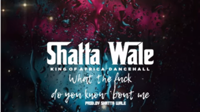 Shatta Wale - What The Fck Do You Know Bout Me