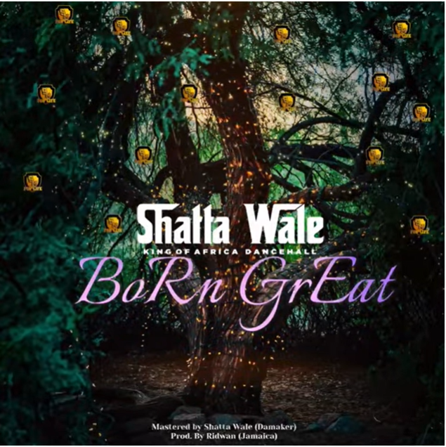 Shatta Wale - Born Great